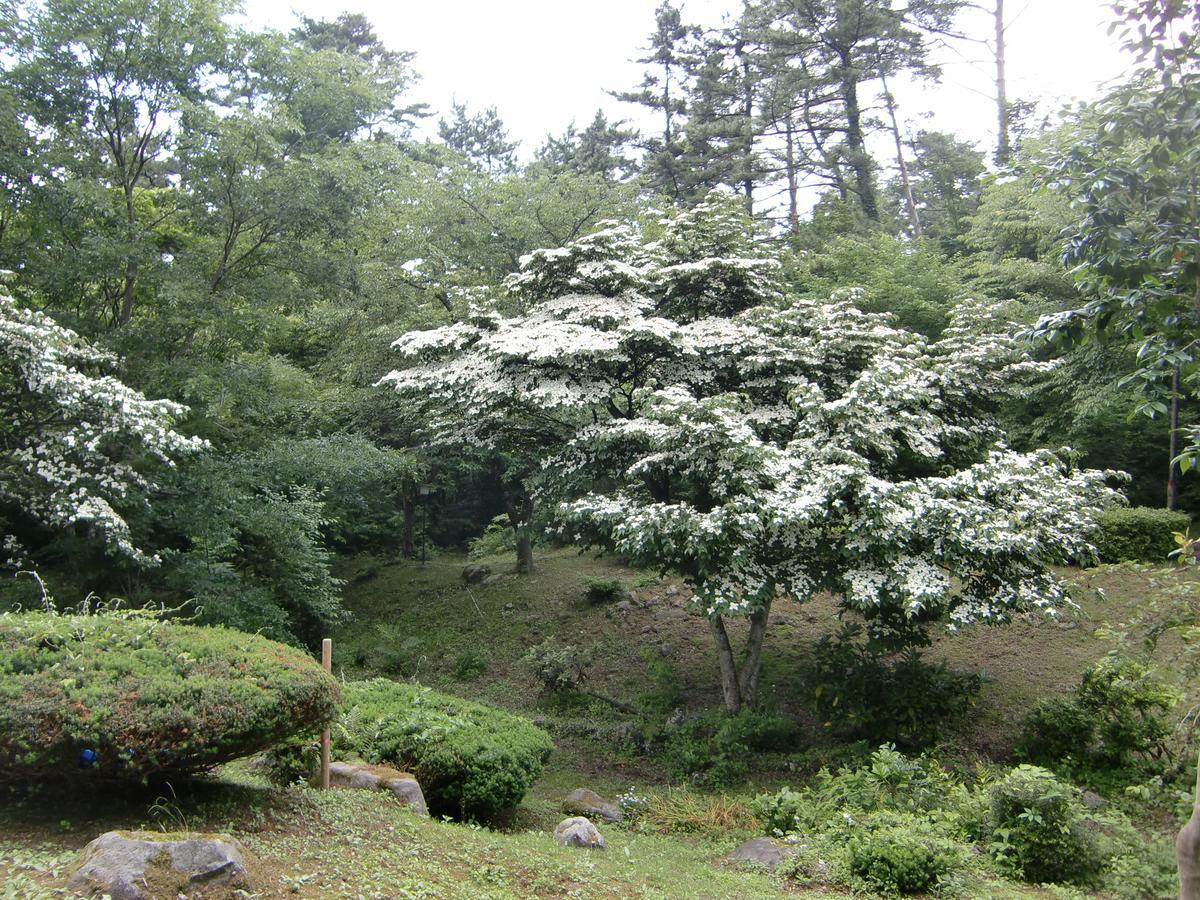 Hale Makawao Daisen (Tottori) Bagian luar foto